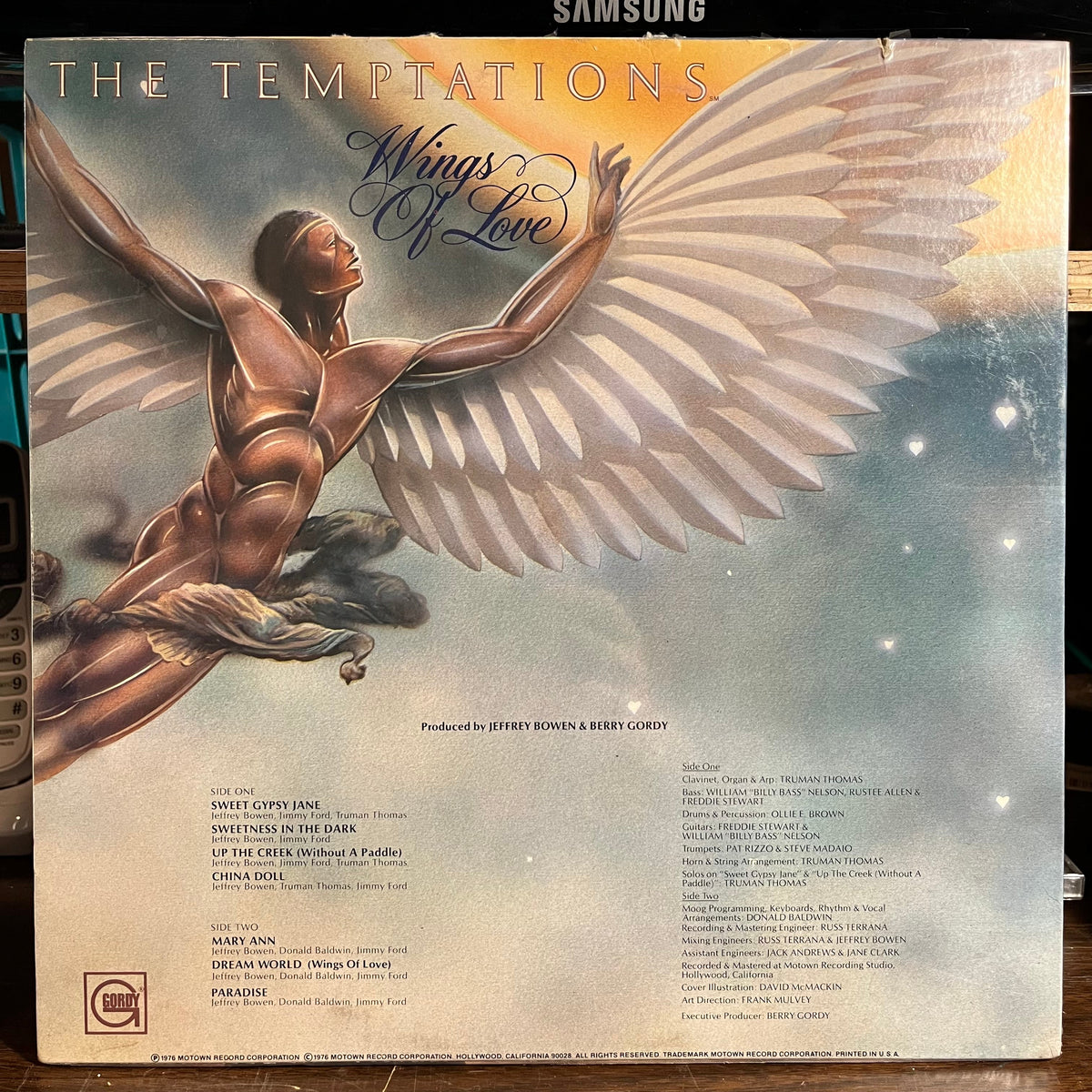 Wings Of Love (VINYL) | Mint (M) Near Mint (NM)-Classic Vinyl Record