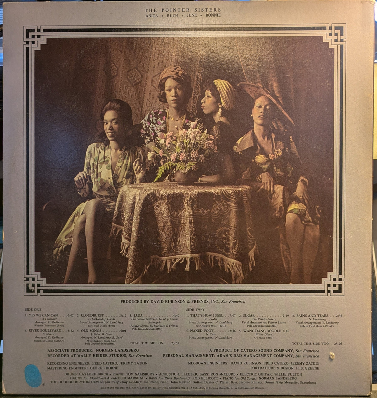 Pointer Sisters - The Pointer Sisters (VINYL) | Near Mint (NM) Very Good (VG)-Classic Vinyl Record