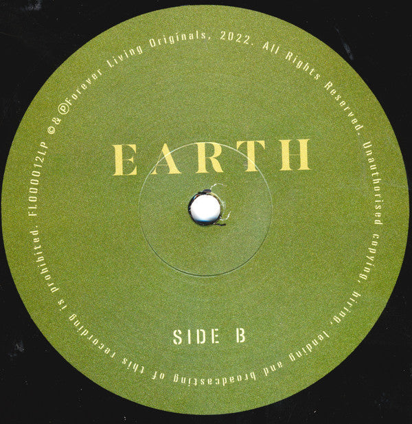 Sault - Earth | Mint (M) Mint (M)-Classic Vinyl Record