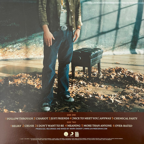Gavin DeGraw - Chariot (LTD BLUE VINYL) | Mint (M) Mint (M)-Classic Vinyl Record