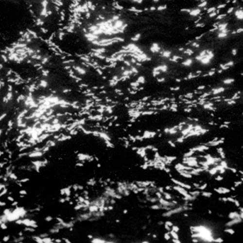 GROUPER - AIA: Dream Loss (VINYL LP Kranky KRANK223) | NEW-Classic Vinyl Record