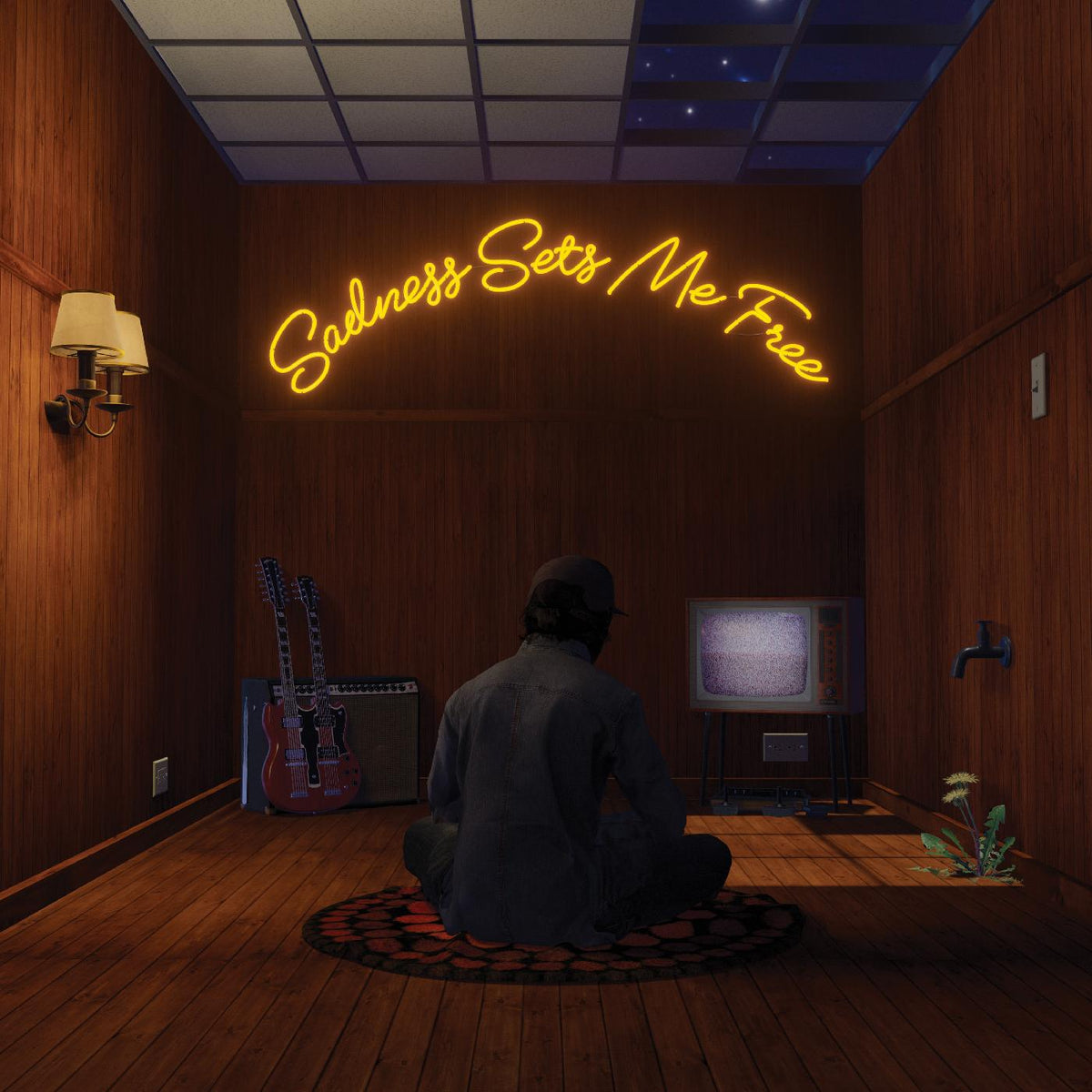 Gruff Rhys - Sadness Sets Me Free (CD) | Mint (M) Mint (M)-Classic Vinyl Record