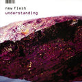 New Flesh - Understanding (CD) |-Classic Vinyl Record