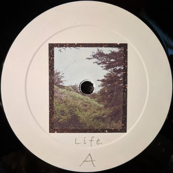 Jinsang - Life. (VINYL) | Mint (M) Mint (M)-Classic Vinyl Record