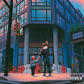 Skyzoo - All The Brilliant Things (CD) |-Classic Vinyl Record