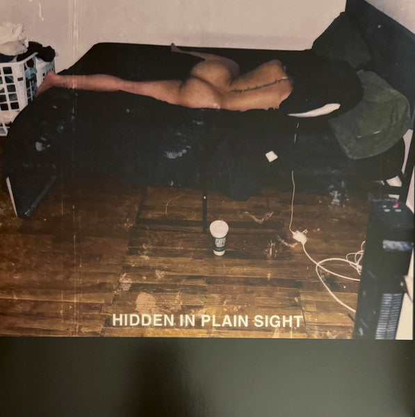 Hidden In Plain Sight (VINYL) | Mint (M) Mint (M)-Classic Vinyl Record