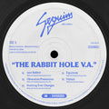 Vince Void - The Rabbit Hole V.A. (VINYL) | Mint (M) Generic-Classic Vinyl Record