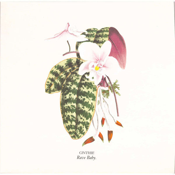 Cinthie - Rave Baby (VINYL) | Mint (M) Mint (M)-Classic Vinyl Record