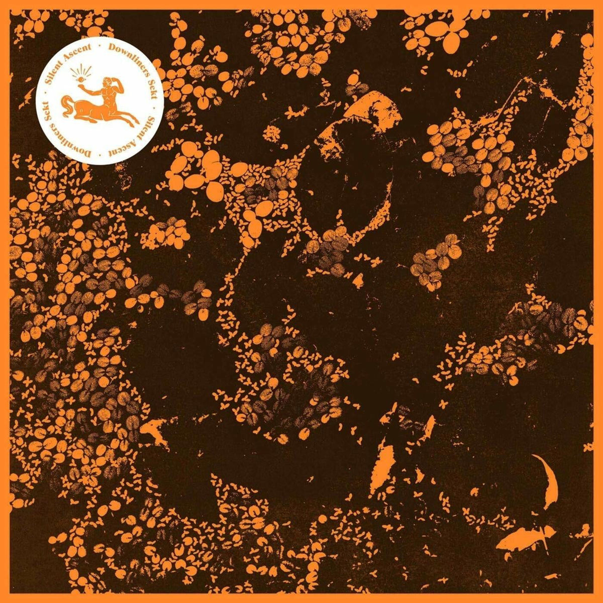 Downliners Sekt - Silent Ascent (CD) | Mint (M) Mint (M)-Classic Vinyl Record