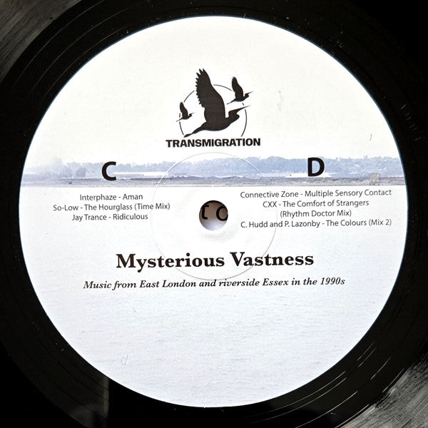 Jane Fitz - Mysterious Vastness (2xVINYL) |-Classic Vinyl Record
