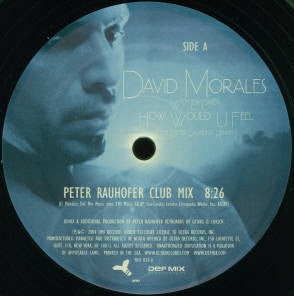 David Morales - How Would U Feel (The Peter Rauhofer Remixes) (12" VINYL) | Near Mint (NM) Near Mint (NM)-Classic Vinyl Record