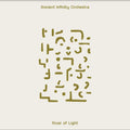 Ancient Infinity Orchestra - River of Light (CD) |-Classic Vinyl Record