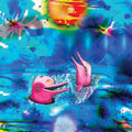 Anteloper - Pink Dolphins (CD) | Mint (M) Mint (M)-Classic Vinyl Record