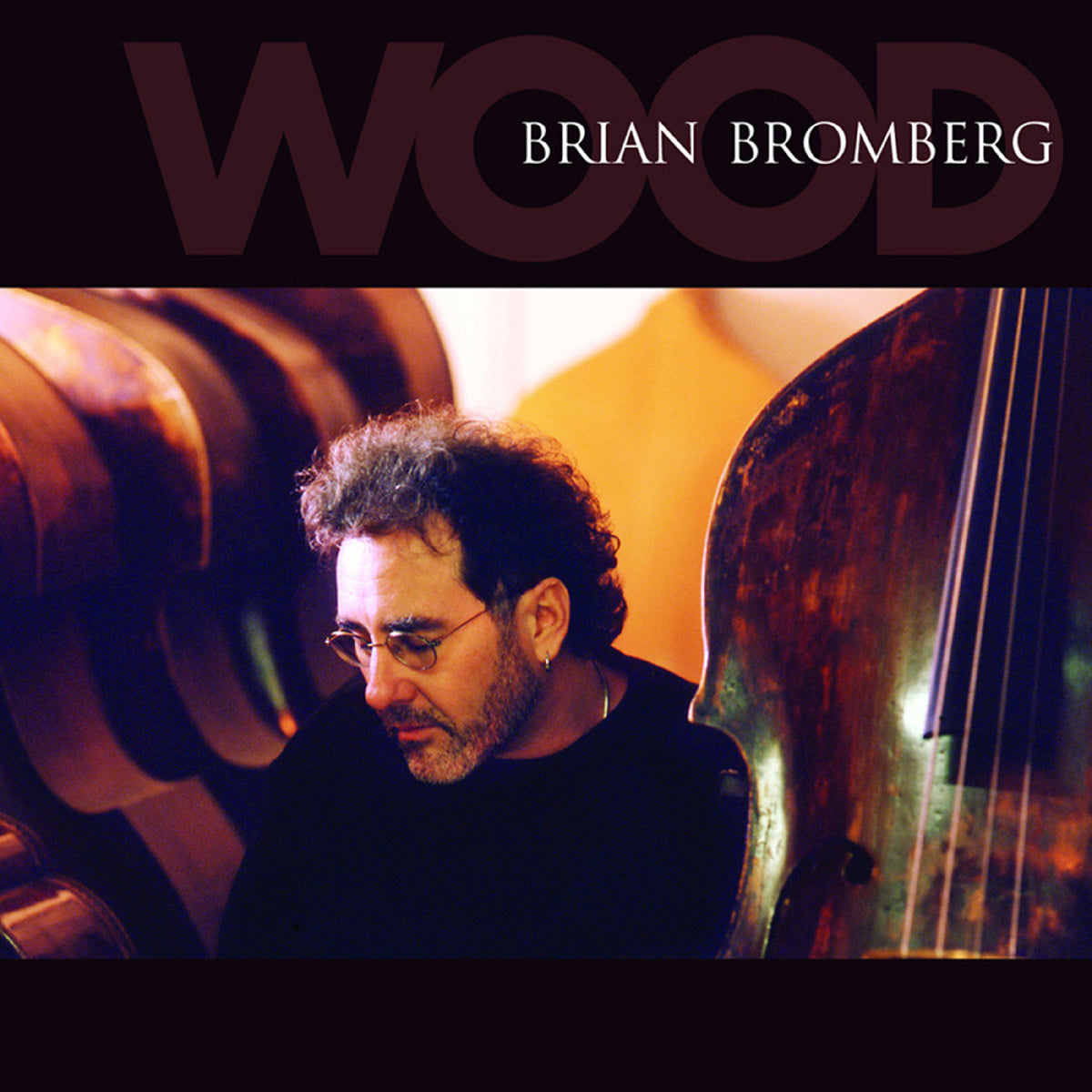 Bromberg, Brian - Wood (CD) |-Classic Vinyl Record