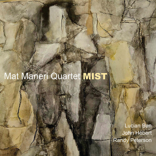 Mat Maneri - (PRESALE 6/26/26) Mist (CD) | Mint (M) Mint (M)-Classic Vinyl Record