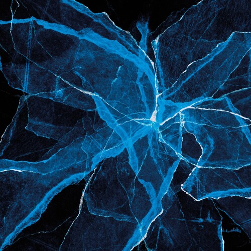 Jason Moran - Shards (CLEAR VINYL) | Mint (M) Mint (M)-Classic Vinyl Record