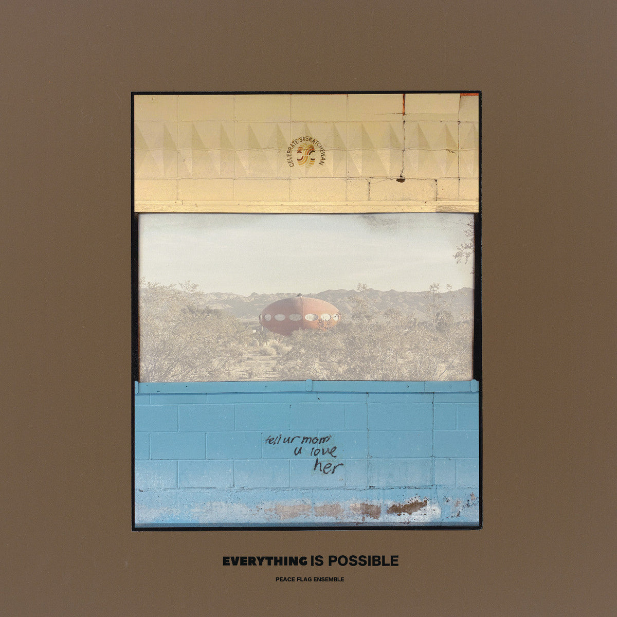 Peace Flag Ensemble - Everything Is Possible |-Classic Vinyl Record
