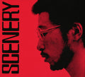 Ryo Fukui - Scenery (CD) | Mint (M) Mint (M)-Classic Vinyl Record