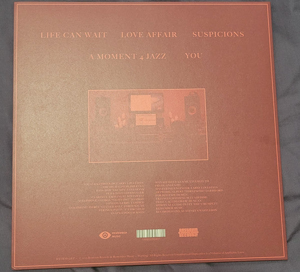 Larry Lovestein & The Velvet Revival - You (10" VINYL) | Mint (M) Mint (M)-Classic Vinyl Record