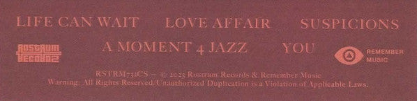 Larry Lovestein & The Velvet Revival - You (UNOFFICIAL CASSETTE) |-Classic Vinyl Record