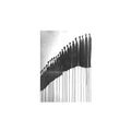 Jeromes Dream - The Gray In Between (VINYL) | Mint (M) Mint (M)-Classic Vinyl Record