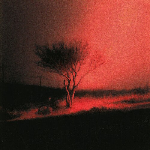 Joji Piss In The Wind [Explicit Content] - Vinyl-Classic Vinyl Record