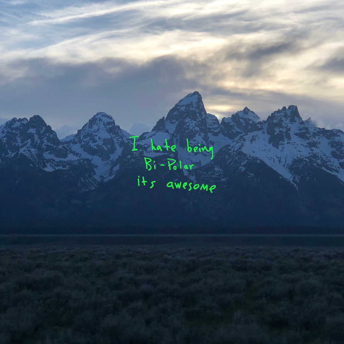 Kanye West - ye |-Classic Vinyl Record
