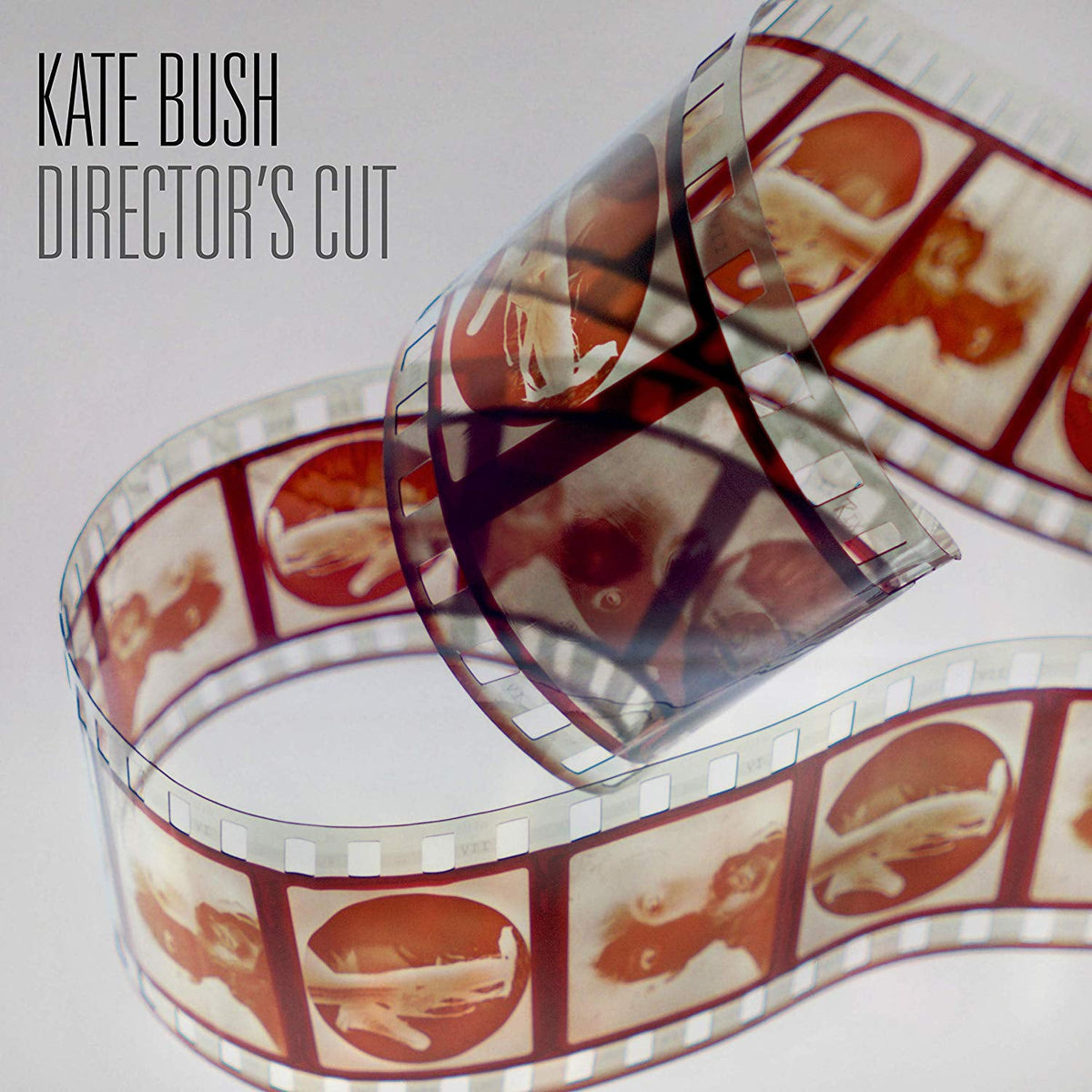 Kate Bush - Director's Cut (2018 Remaster) | Mint (M) Mint (M)-Classic Vinyl Record