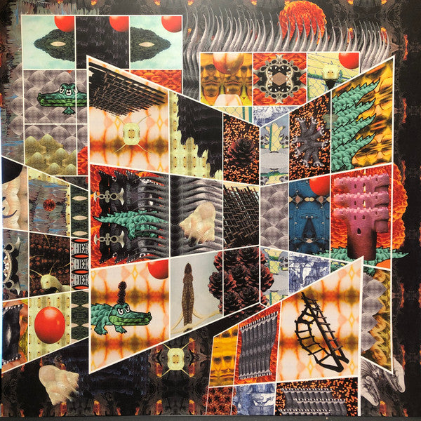 Polygondwanaland | Mint (M) Mint (M)-Classic Vinyl Record