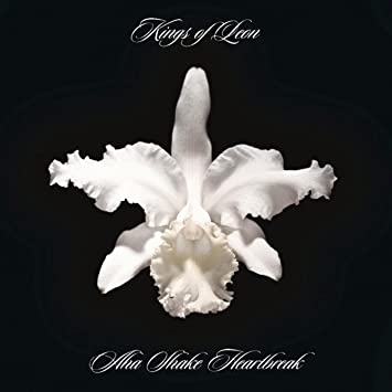 Kings of Leon - Aha Shake Heartbreak(180-gram) [Import] (2 Lp's) | Mint (M) Mint (M)-Classic Vinyl Record