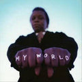Lee Fields / Expressions - MY WORLD |-Classic Vinyl Record