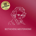 Ludwig Van Beethoven - Beethovens Meisterwerke |-Classic Vinyl Record