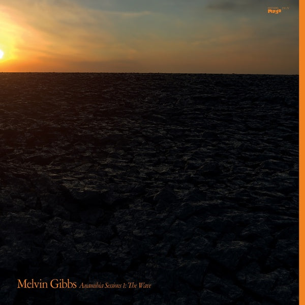 MELVIN GIBBS - Anamibia Sessions 1: The Wave |-Classic Vinyl Record