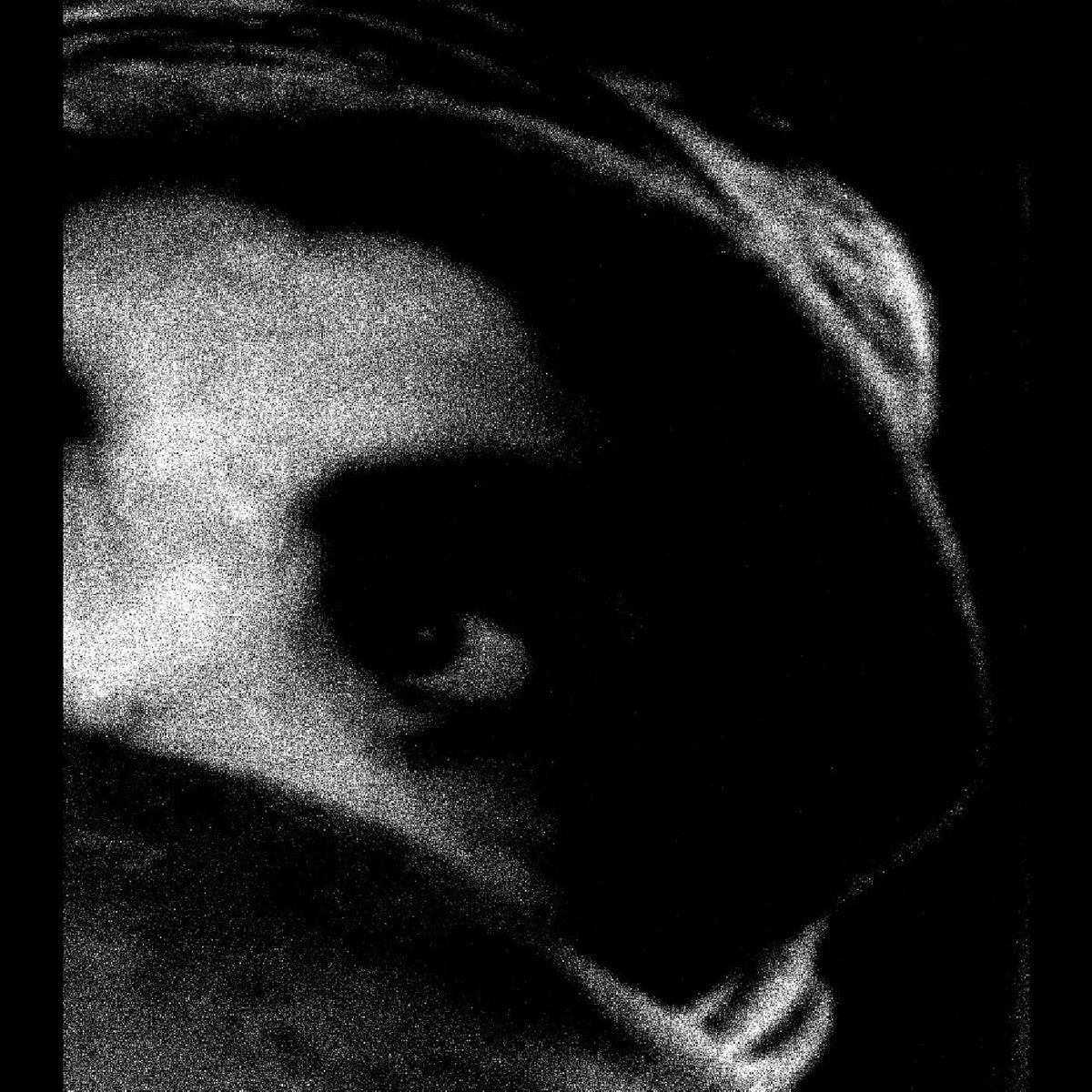 Body, The - The Crying Out of Things (CD) |-Classic Vinyl Record