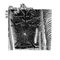 Divide and Dissolve - TFW (Vinyl) |-Classic Vinyl Record