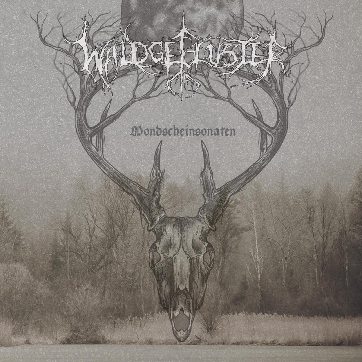 Waldgeflüster - Mondscheinsonaten (CD) |-Classic Vinyl Record
