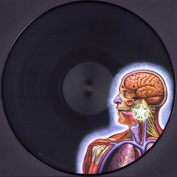 Tool (2) - Lateralus | Mint (M) Mint (M)-Classic Vinyl Record