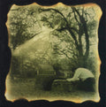 Cries Of The Past (CD) |-Classic Vinyl Record