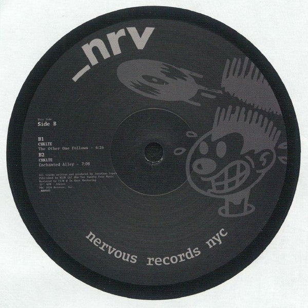 Fallen Algorithm (VINYL) | Mint (M) Generic-Classic Vinyl Record