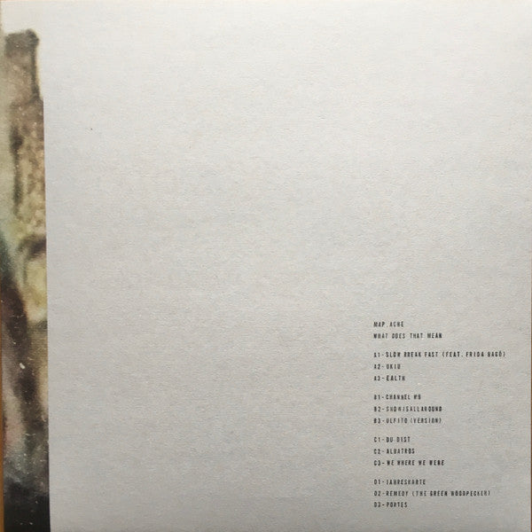 What Does That Mean | Mint (M) Mint (M)-Classic Vinyl Record