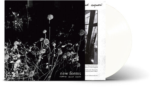 New Forms - Nothing'S Sacred Anymore [Clear Vinyl] |-Classic Vinyl Record