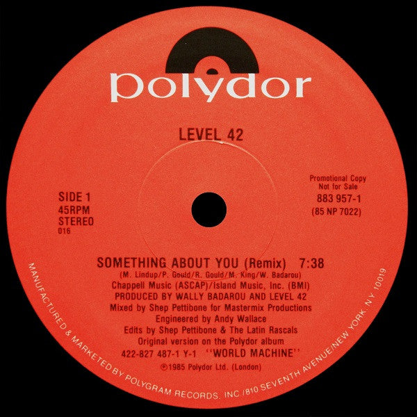 Something About You (Remix) | Mint (M) Generic-Classic Vinyl Record