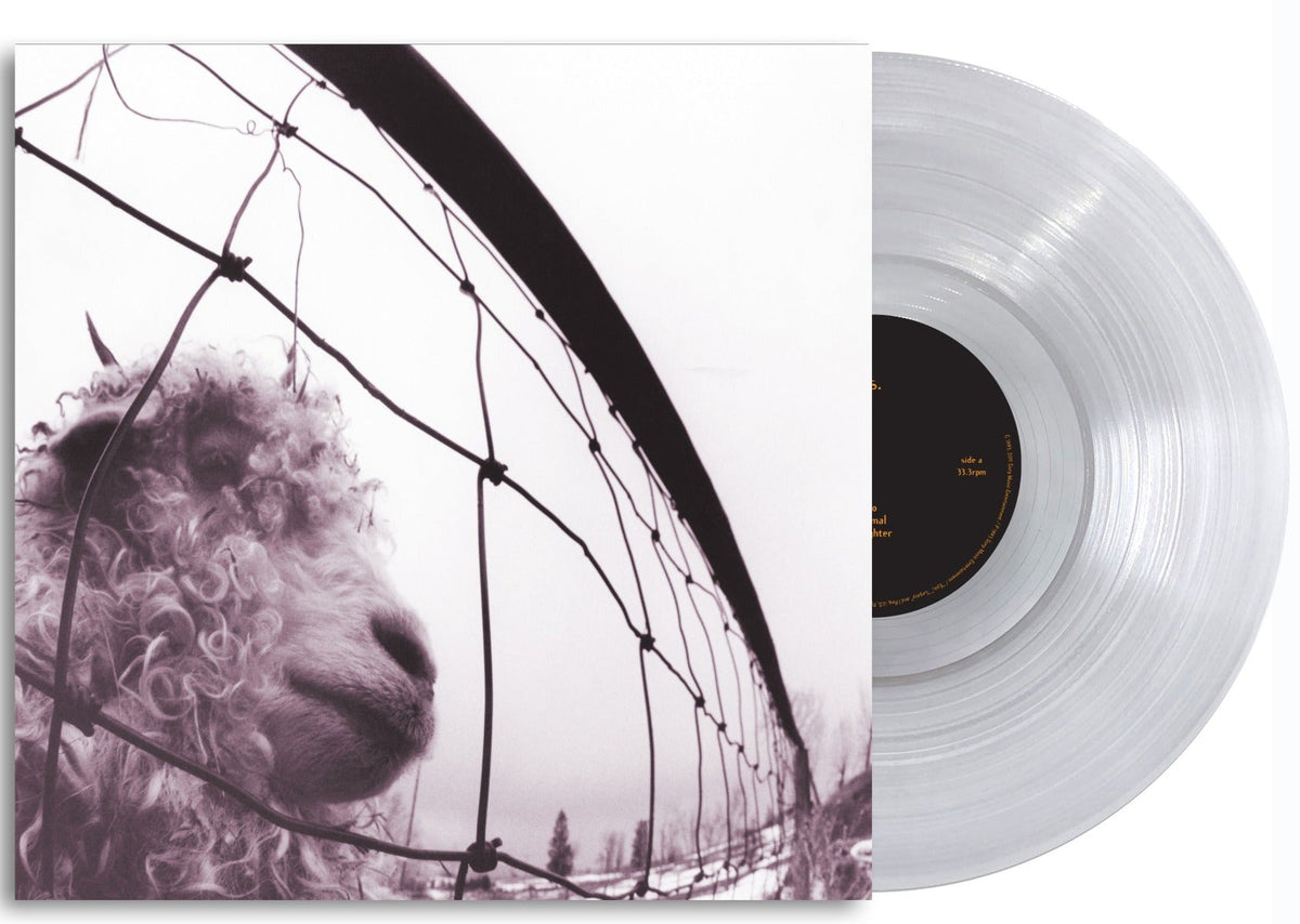 Pearl Jam - Vs. (CLEAR VINYL) | Mint (M) Mint (M)-Classic Vinyl Record