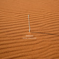PETER ADRIAANSZ - Enclosures |-Classic Vinyl Record
