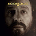 Phosphorescent - C'est La Vie (Clear Vinyl) | Mint (M) Mint (M)-Classic Vinyl Record