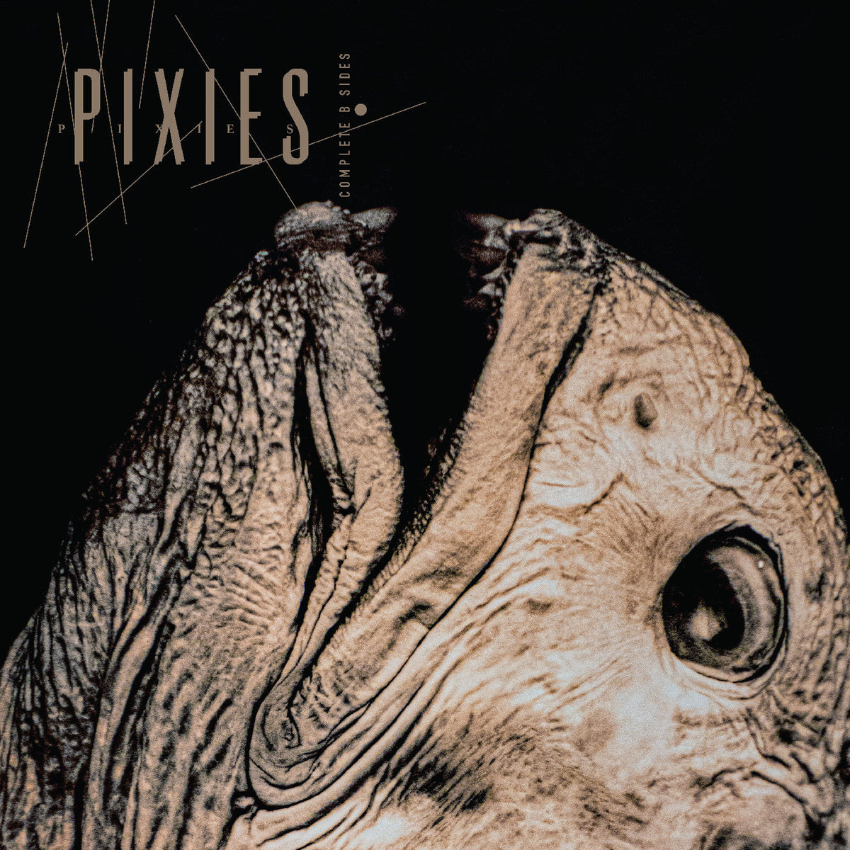 Pixies - (PRESALE 6/26/26) Complete B Sides: 1988-97 (2xCD) | Mint (M) Mint (M)-Classic Vinyl Record