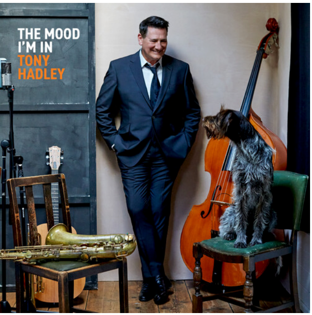 Tony Hadley - The Mood I'm In (Cream VINYL) | Mint (M) Mint (M)-Classic Vinyl Record