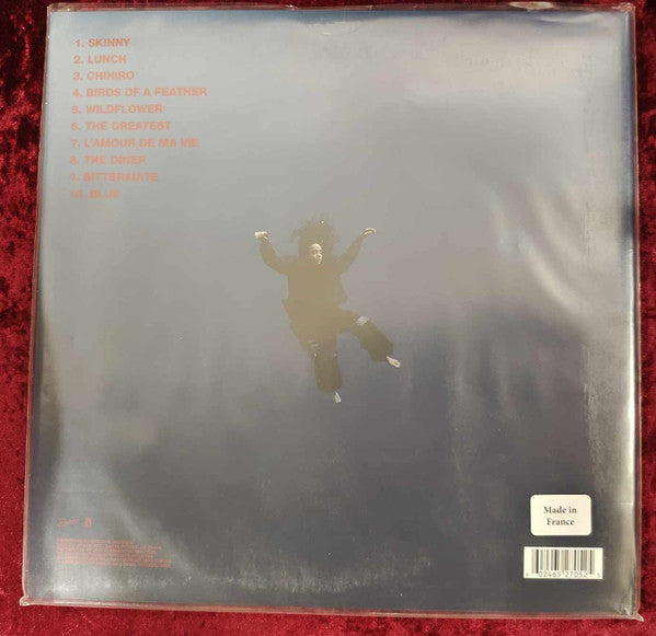 Hit Me Hard And Soft | Mint (M) Mint (M)-Classic Vinyl Record