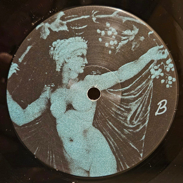 TV Girl - Grapes Upon The Vine (VINYL) | Mint (M) Mint (M)-Classic Vinyl Record