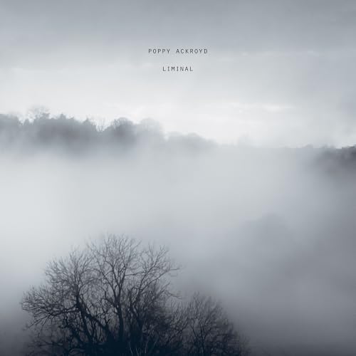 Poppy Ackroyd - Liminal |-Classic Vinyl Record